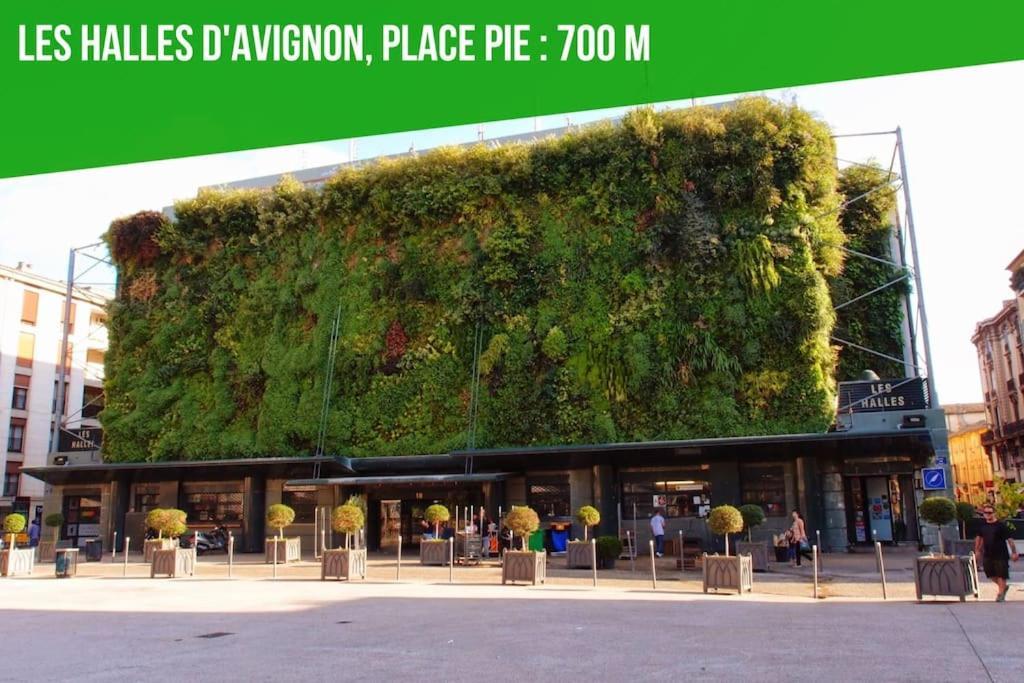 Aux Marches Du Palais - Ac Clim - Spacieux - Terrasse - Wifi Avignon Kültér fotó
